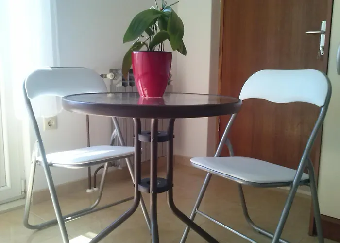 Studio Apartment Mala Plaza
