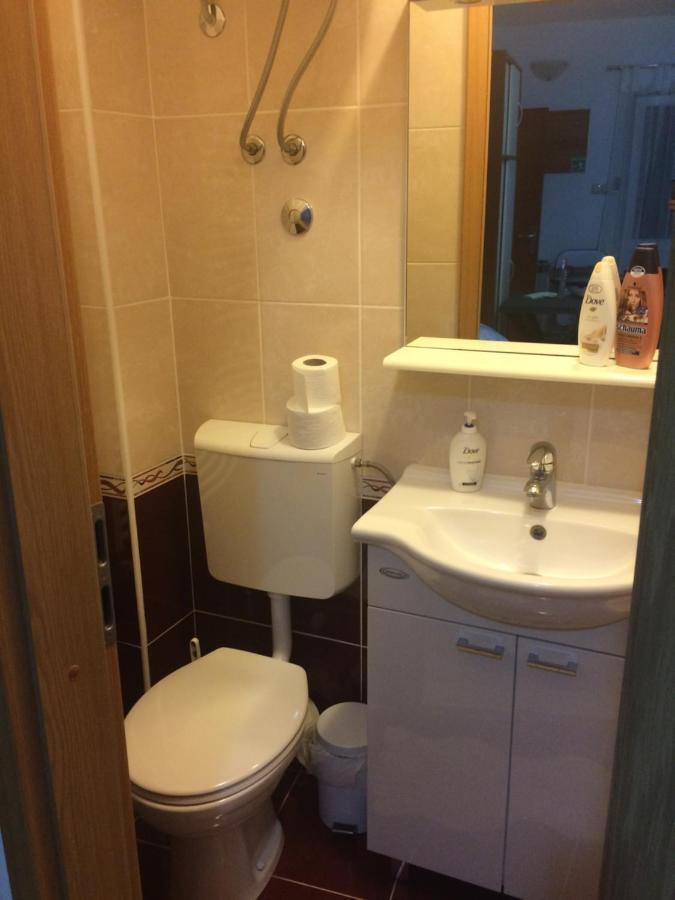 Apartment Mala Plaza *